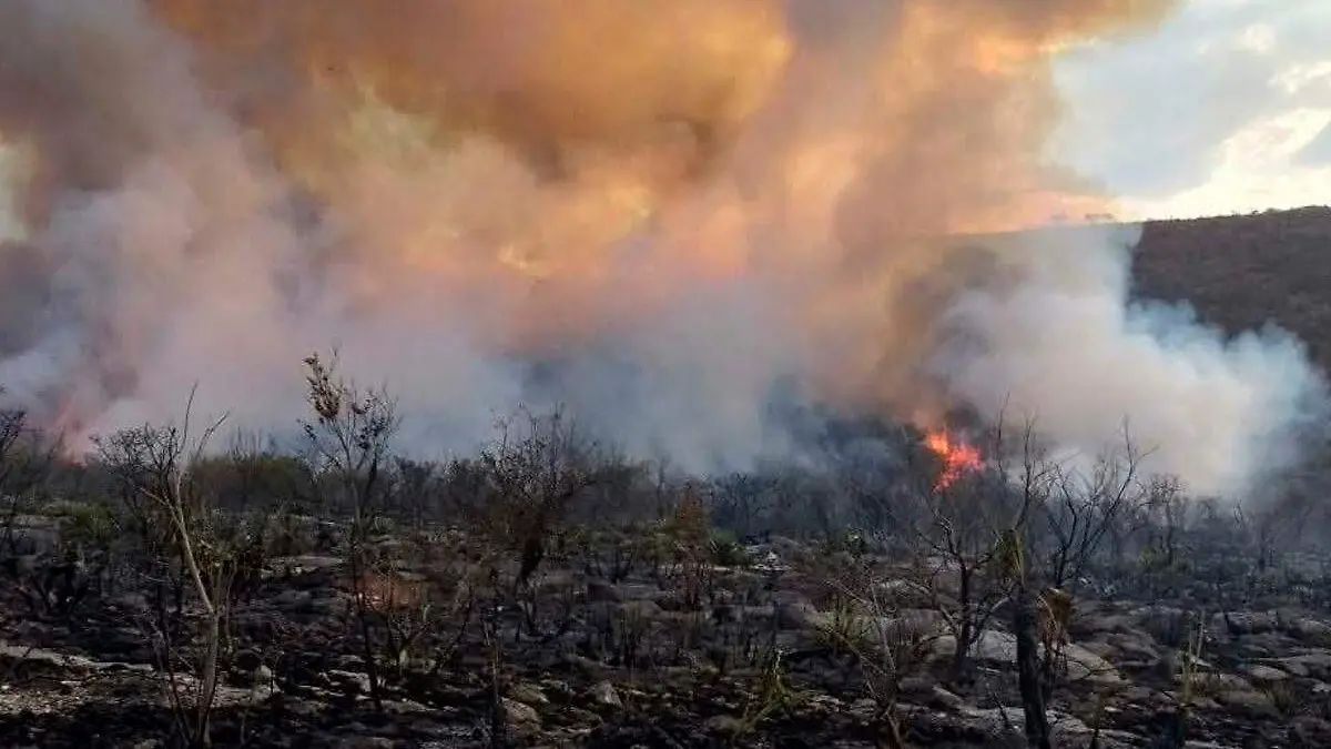 incendio forestal